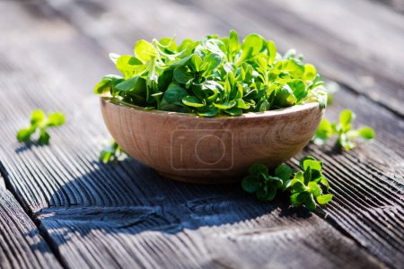 Photo for Corn salad lambs lettuce, Valerianella locusta on a round wooden plate on naturally aged wooden table. Food photography - Royalty Free Image
