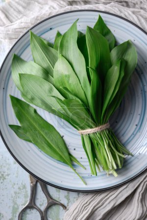 Photo for Top view on bunch of fresh bears wild garlic leaves on plate close up. Food photography - Royalty Free Image