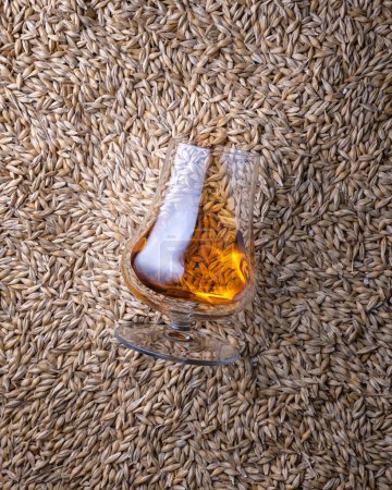 Téléchargez les photos : Un verre de whisky sur les grains d'orge comme fond, vue de dessus - en image libre de droit