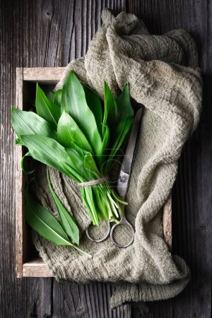 Photo for Bunch of fresh bears wild garlic on wooden box close up. Food photography - Royalty Free Image