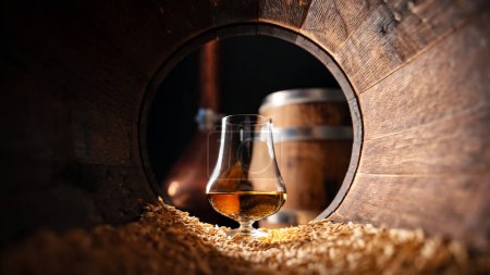Glass of whiskey in an old wooden oak barrel with barley grains. Traditional alcohol distillery concept