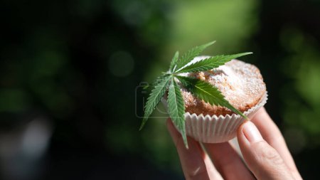Téléchargez les photos : Cupcake avec feuille de cannabis à la main. Gâteau au dessert avec marijuana en gros plan. Cuisson de gâteaux de cuisson avec de l'herbe médicale. Photographie alimentaire - en image libre de droit