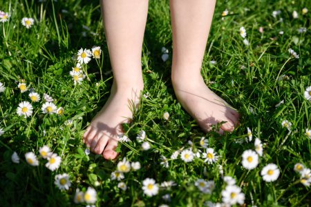 Téléchargez les photos : Gros plan d'un enfant pieds nus sur l'herbe verte avec des fleurs dans le jardin. Vivre dans la nature concept - en image libre de droit
