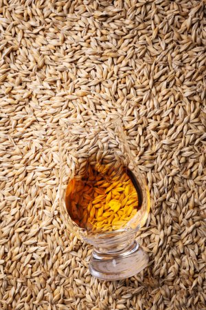 Photo for Top view of a glass of whiskey lying on a pile of barley grains. Traditional alcohol distillery concept - Royalty Free Image