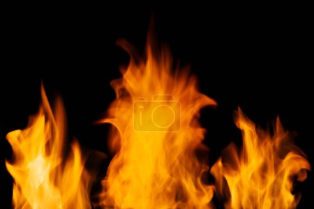 Abstract Set of flame design elements isolated on black background