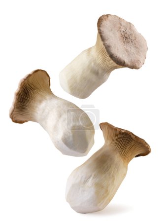Eringi mushrooms falling close-up on a white background. Isolated