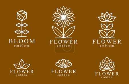 Illustration for Beautiful geometric flower logos vector linear designs set, sacred geometry line drawing emblems or symbols collection, blossoming flower hotel or boutique or jewelry logotypes. - Royalty Free Image