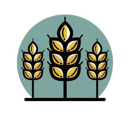 Illustration for Ripe wheat spike vector linear icon isolated on white background, design element for emblem or logo creation for agriculture or healthy food theme. - Royalty Free Image