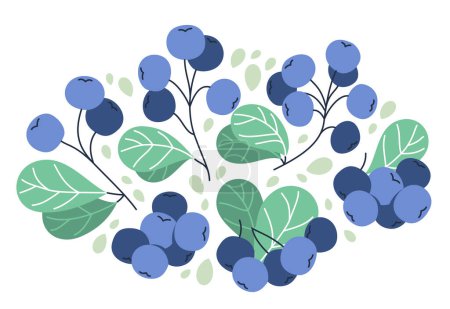 Illustration for Fresh delicious ripe wild blueberry vector flat illustration isolated on white, natural diet food vegetation tasty eating, forest wild berries series. - Royalty Free Image