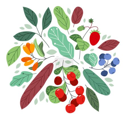 Illustration for Wild berries fresh and ripe tasty healthy food with leaves vector flat style illustration isolated over white, delicious vegetation diet eating, nature gifts. - Royalty Free Image