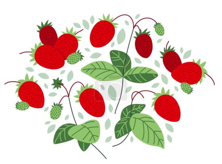 Ilustración de Fresco delicioso maduro fresas silvestres vector plana ilustración aislado en blanco, dieta natural comida vegetación sabroso comer, bosque silvestre bayas serie. - Imagen libre de derechos