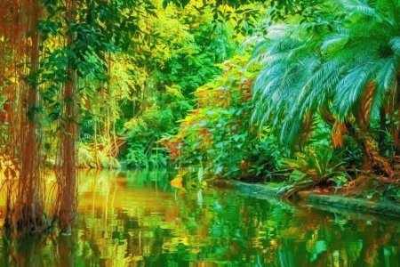 Téléchargez les photos : Beau paysage sauvage de forêt tropicale avec la rivière. Image horizontale. - en image libre de droit