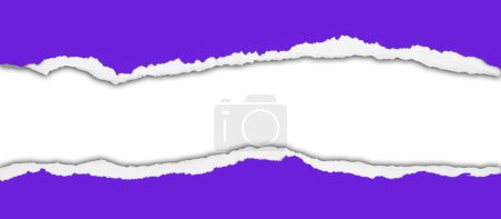 Téléchargez les photos : Trou déchiré en papier violet sur fond blanc - en image libre de droit