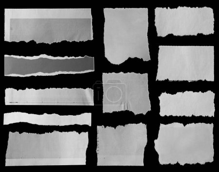 Photo for Twelve pieces of torn newspaper on black background - Royalty Free Image