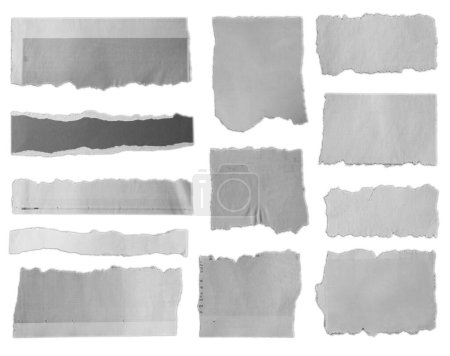 Photo for Twelve pieces of torn paper on plain background - Royalty Free Image
