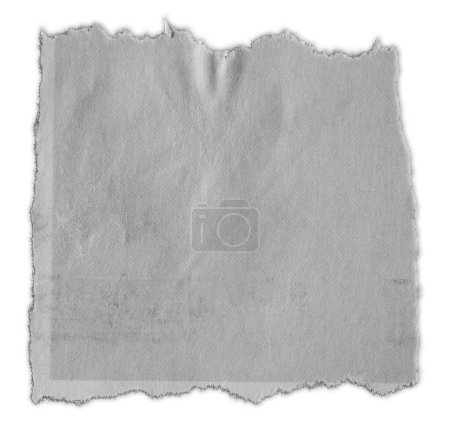 Photo for One piece of ripped paper on white - Royalty Free Image