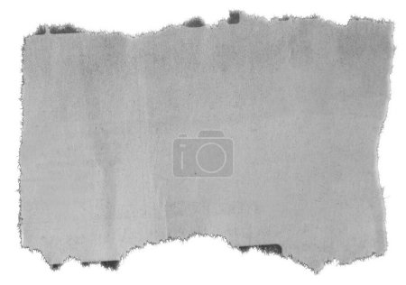 Téléchargez les photos : Un morceau de papier déchiré sur blanc - en image libre de droit