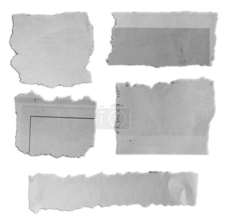 Foto de Cinco pedazos de papel desgarrado sobre fondo liso - Imagen libre de derechos