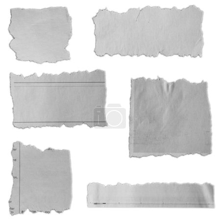 Foto de Seis pedazos de papel desgarrado sobre fondo liso - Imagen libre de derechos