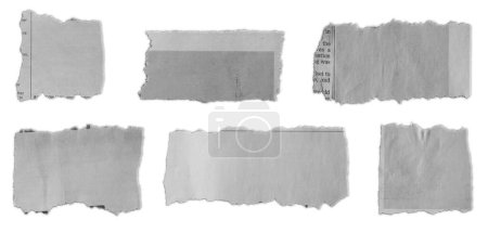 Foto de Cinco pedazos de papel desgarrado sobre fondo liso - Imagen libre de derechos
