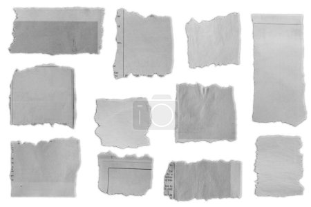 Téléchargez les photos : Onze morceaux de papier déchiré sur fond uni - en image libre de droit