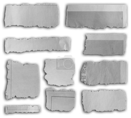Téléchargez les photos : Dix morceaux de papier déchiré sur fond uni - en image libre de droit