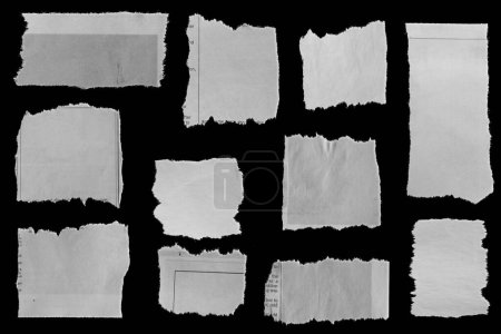 Photo for Eleven pieces of torn newspaper on black background - Royalty Free Image