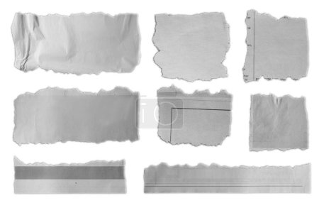 Téléchargez les photos : Huit morceaux de papier déchiré sur fond uni - en image libre de droit