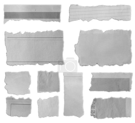 Photo for Eleven pieces of torn paper on plain background - Royalty Free Image
