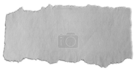 Photo for One piece of ripped paper on white - Royalty Free Image