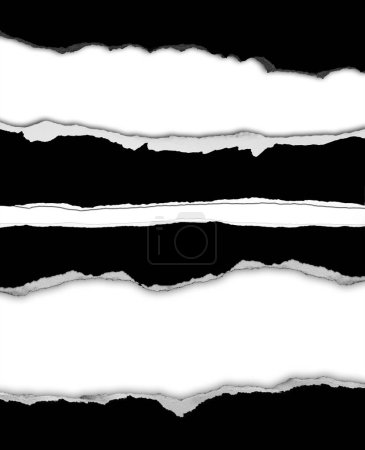 Foto de Papeles negros rasgados sobre fondo blanco - Imagen libre de derechos