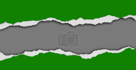 Photo for Ripped green paper on grey background - Royalty Free Image