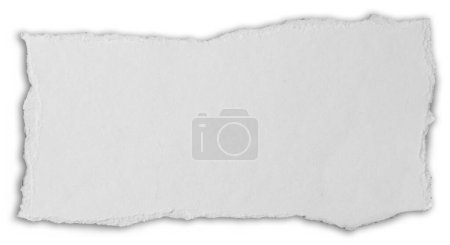 Foto de Trozo de papel desgarrado aislado sobre fondo liso - Imagen libre de derechos