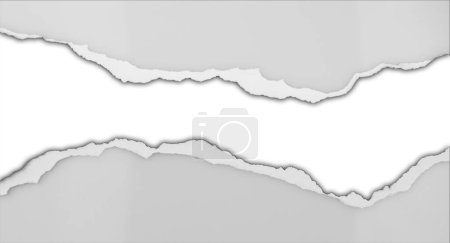 Foto de Papel gris rasgado sobre fondo blanco, espacio para copiar - Imagen libre de derechos