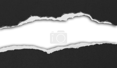 Photo for Ripped black paper on white background, space for copy - Royalty Free Image