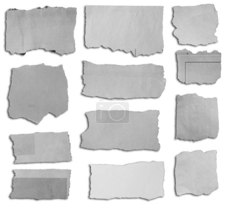 Téléchargez les photos : Douze morceaux de papier déchiré sur fond blanc - en image libre de droit