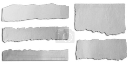 Téléchargez les photos : Cinq morceaux de papier déchiré sur fond blanc - en image libre de droit