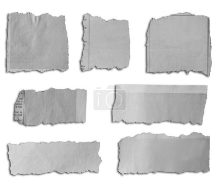 Téléchargez les photos : Sept morceaux de papier déchiré sur fond blanc - en image libre de droit