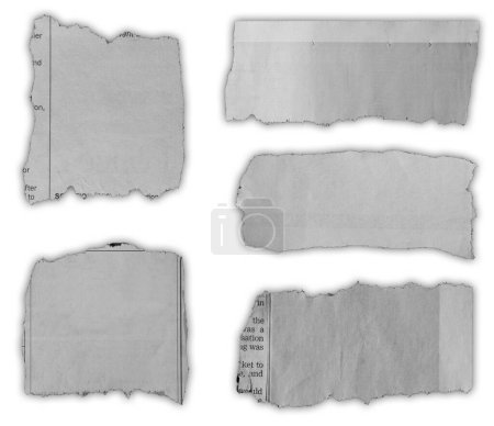 Foto de Cinco pedazos de papel desgarrado sobre fondo blanco - Imagen libre de derechos