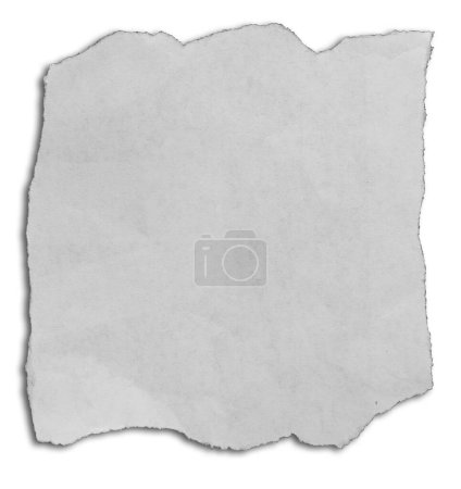 Photo for Piece of torn paper isolated on plain background - Royalty Free Image