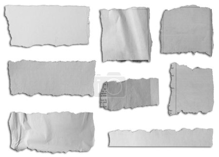 Foto de Ocho pedazos de papel desgarrado sobre fondo blanco - Imagen libre de derechos