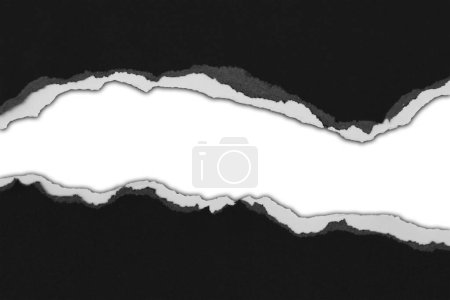 Photo for Ripped black paper on white background, space for copy - Royalty Free Image