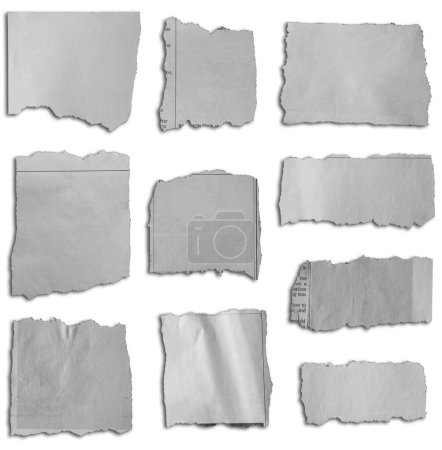 Foto de Diez pedazos de papel desgarrado sobre fondo blanco - Imagen libre de derechos