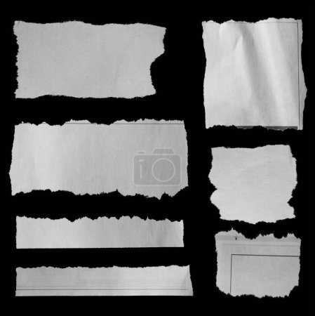 Téléchargez les photos : Sept morceaux de journal déchiré sur fond noir - en image libre de droit