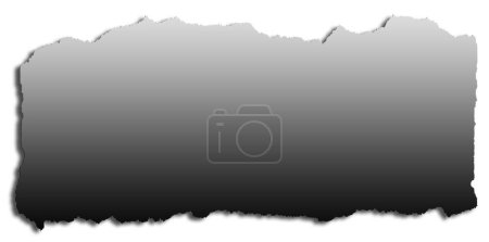 Photo for Piece of torn grey paper isolated on plain background - Royalty Free Image