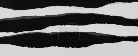 Photo for Ripped black and white paper - Royalty Free Image