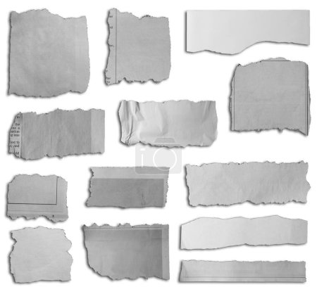Téléchargez les photos : Thirteen pieces of torn paper on white background - en image libre de droit