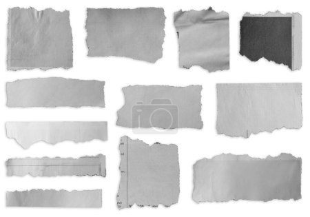 Foto de Doce pedazos de papel desgarrado sobre fondo blanco - Imagen libre de derechos