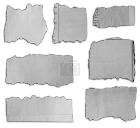 Foto de Siete pedazos de papel desgarrado sobre fondo blanco - Imagen libre de derechos