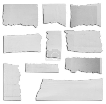 Téléchargez les photos : Dix morceaux de papier déchiré sur fond blanc - en image libre de droit